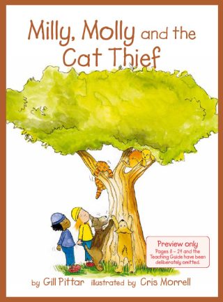 Milly Molly and the Cat Thief