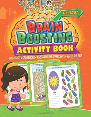 Dreamland 03. Brain Boosting - Maze (Age 5+)
