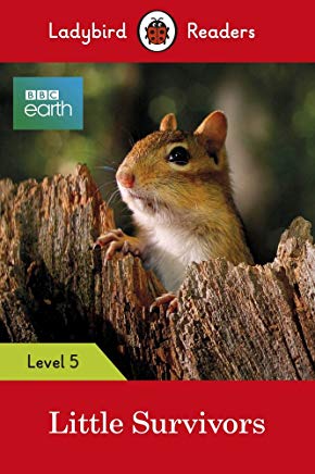 Ladybird The Zoo Activity Book