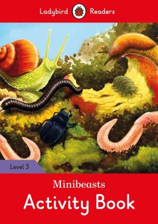 Ladybird The Great Gatsby