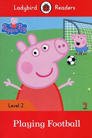 Ladybird Superhero Phonic Readers: Super Robot (Level 8)
