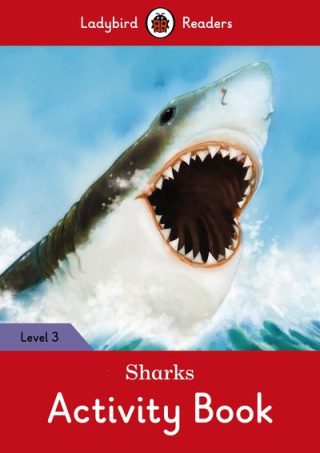 Ladybird Sharks Activity Book