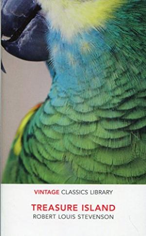 Ladybird TimeRiders: The Pirate Kings (Book 7)