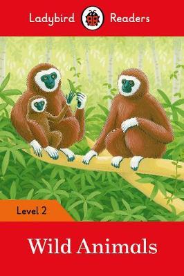 Ladybird The Big Dipper - Level 16