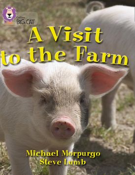 Collins Big Cat Visit To Farm Workbook PB