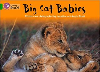 Collins Big Cat Babies Workbook PB