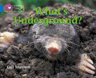 Collins Big Cat Whats Underground Workbook PB