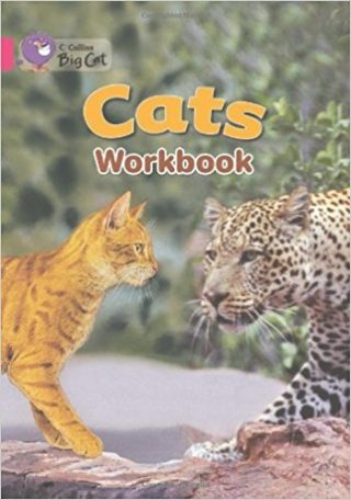 Collins Big Cat Cats Workbook PB