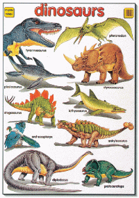 Mighty Minds DINOSAUR