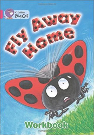 Collins Big Cat Fly Away Home Workbook PB