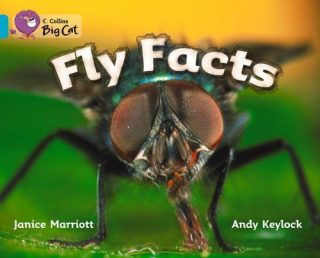 Collins Big Cat Fly Facts Workbook PB