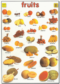 Mighty Minds FRUITS