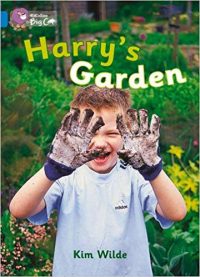 Collins Big Cat Harrys Garden Workbook PB