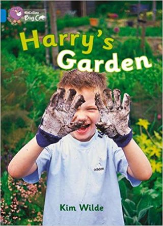 Collins Big Cat Harrys Garden Workbook PB