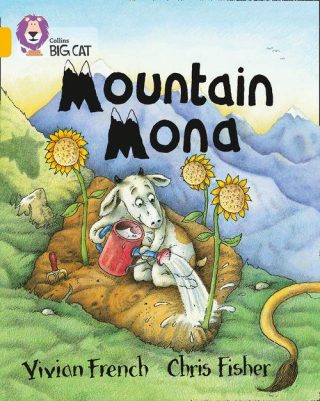 Collins Big Cat Mountain Mona Workbook PB