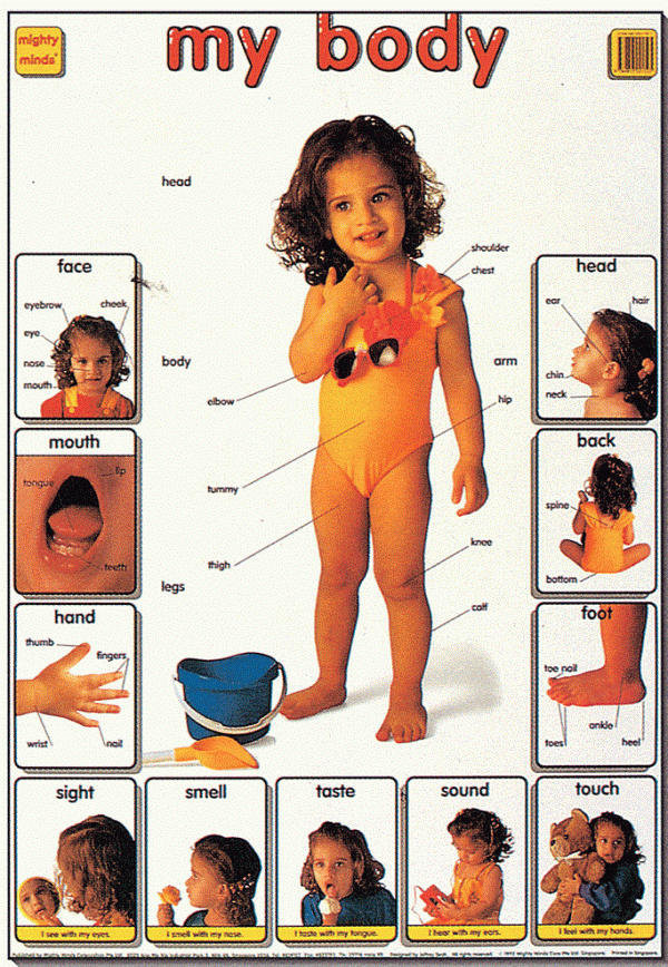 Mighty Minds MY BODY