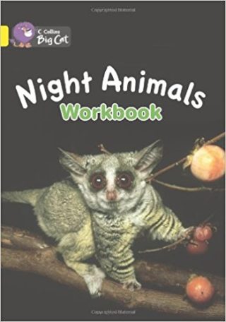 Collins Big Cat Night Animals Workbook PB