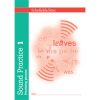 Schofield & Sims  Sound Practice Book 1 - Image 2