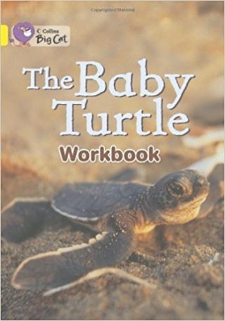 Collins Big Cat Baby Turtle Workbook PB