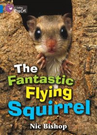 Collins Big Cat Fantastic Flying Squirrel Workbook PB