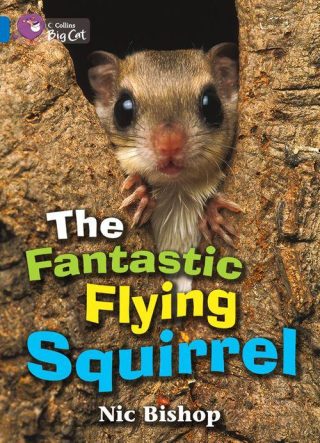 Collins Big Cat Fantastic Flying Squirrel Workbook PB