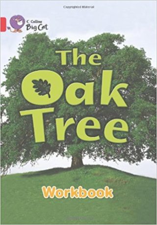 Collins Big Cat Oak Tree Workbook PB