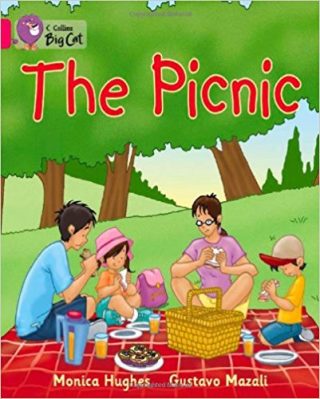 Collins Big Cat Picnic Workbook PB