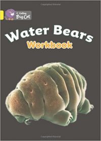 Collins Big Cat Water Bears Workbook PB
