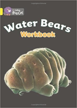 Collins Big Cat Water Bears Workbook PB