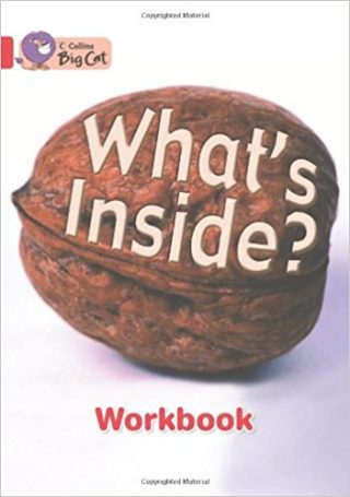 Big Cat What's Inside Workbook PB