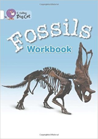 Collins Big Cat Fossils Workbook PB