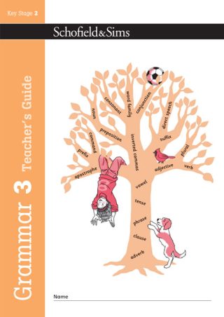 Schofield & Sims  Grammar and Punctuation Book 3 Teacher's Guide