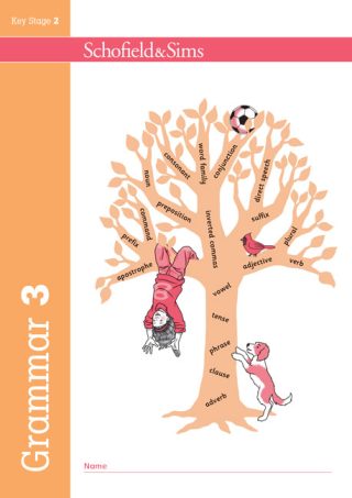 Schofield & Sims  Grammar and Punctuation Book 3