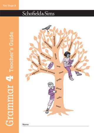 Schofield & Sims  Grammar and Punctuation Book 4 Teacher's Guide