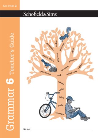 Schofield & Sims  Grammar and Punctuation Book 6 Teacher's Guide