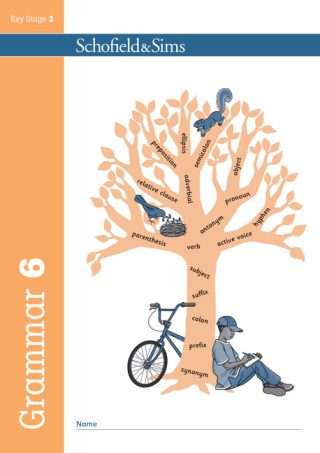 Schofield & Sims  Grammar and Punctuation Book 6