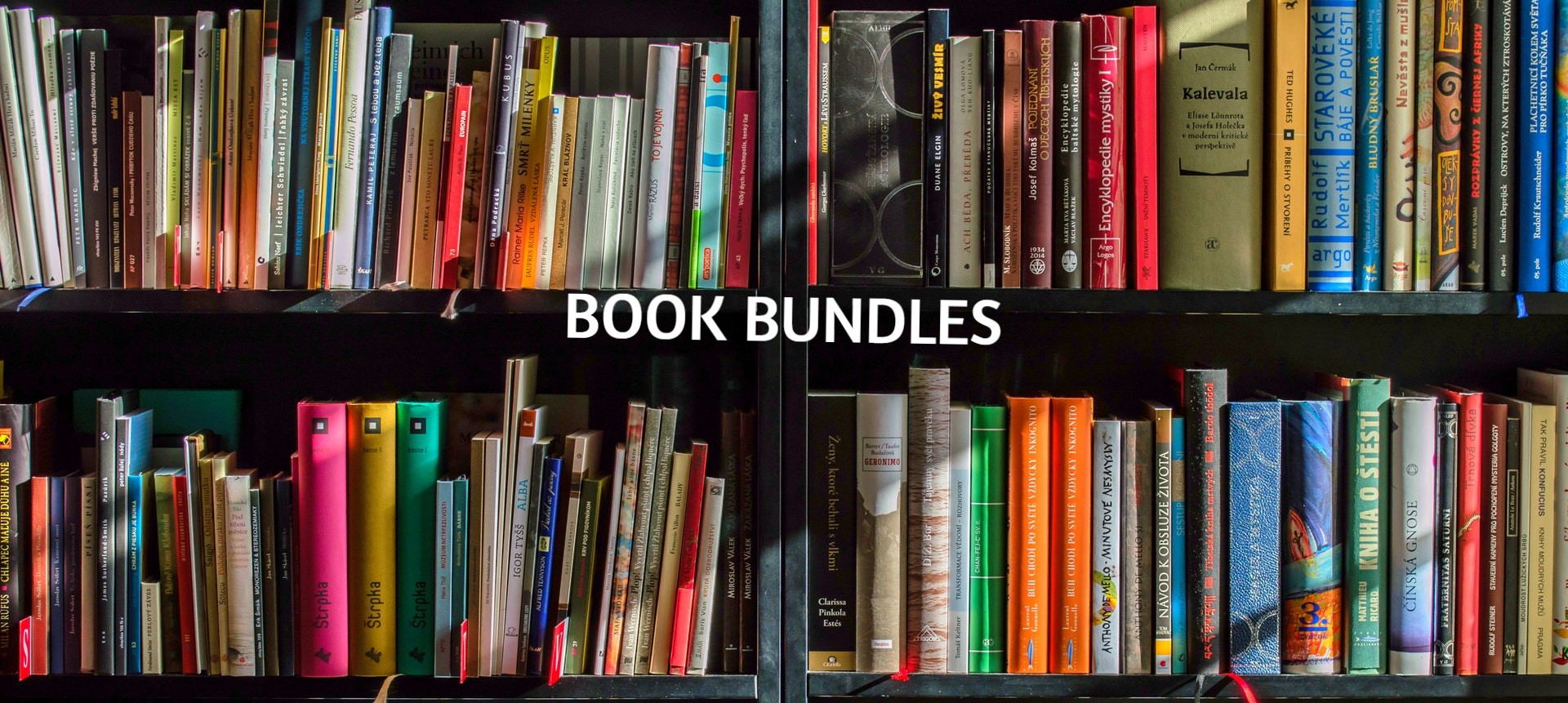 books-in-black-wooden-book-shelf-159711 (1) (1)