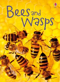 USBORNE  Bees & Wasps