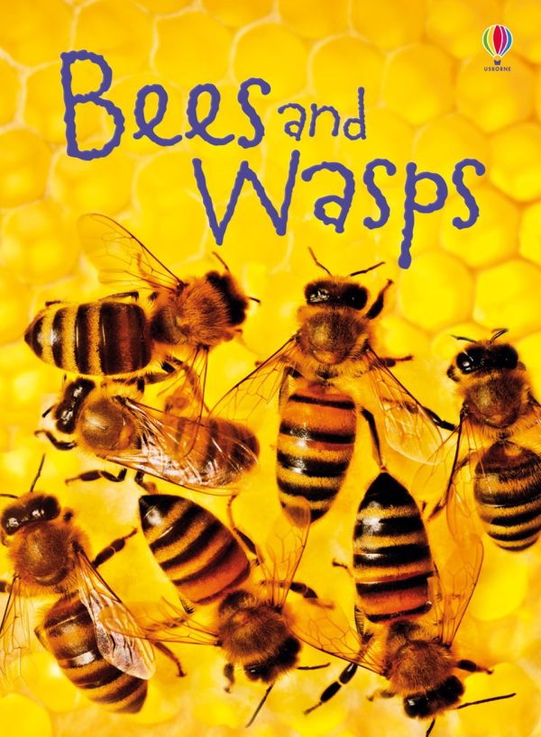 USBORNE  Bees & Wasps
