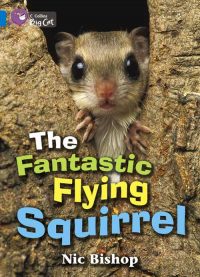 Collins Big Cat The Fantastic Flying Squirrel