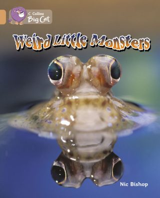 Collins Big Cat Weird Little Monsters