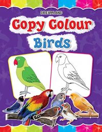Dreamland Copy Colour - Birds