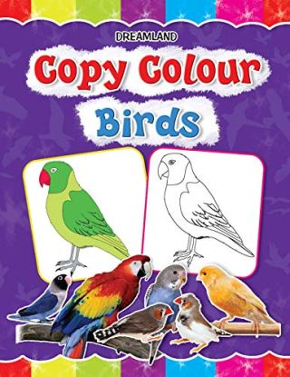 Dreamland Copy Colour - Birds