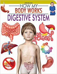 Dreamland Digestive System (How My Body Works)