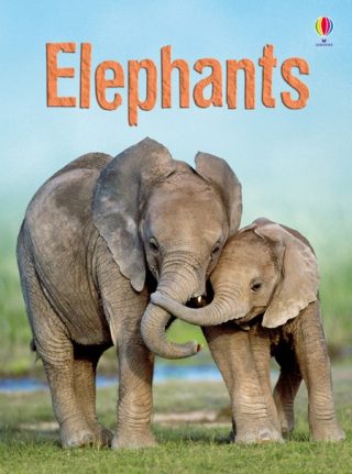 USBORNE  Elephants