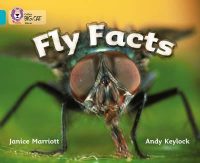 Collins Big Cat Fly Facts