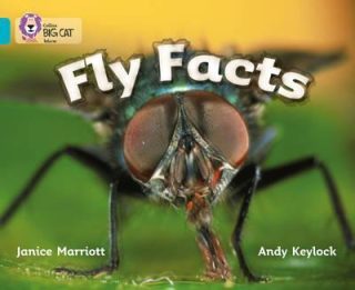 Collins Big Cat Fly Facts