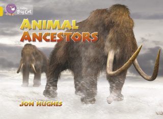 Collins Big Cat Animal Ancestors