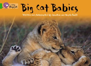 Collins Big Cat Big Cat Babies