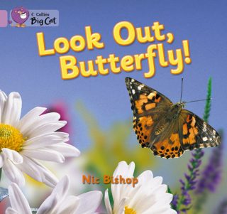 Collins Big Cat Look Out, Butterfly!
